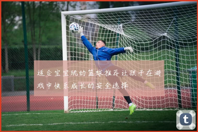 适合宝宝玩的篮球推荐让孩子在游戏中快乐成长的安全选择