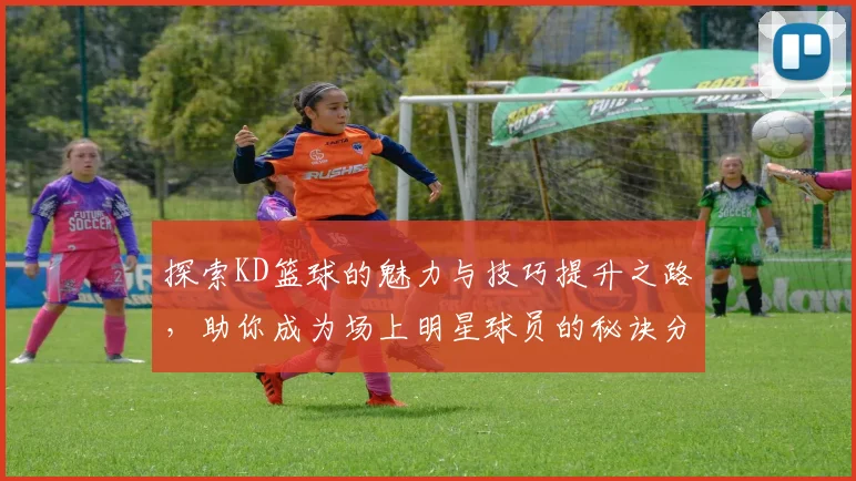 探索KD篮球的魅力与技巧提升之路，助你成为场上明星球员的秘诀分享