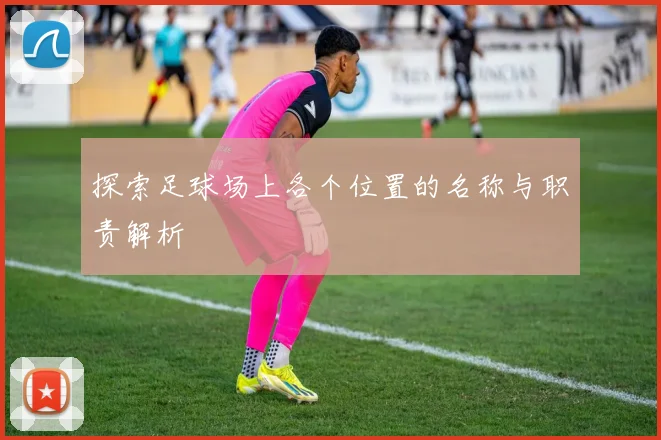 探索足球场上各个位置的名称与职责解析