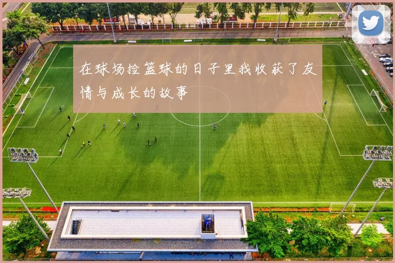 在球场捡篮球的日子里我收获了友情与成长的故事