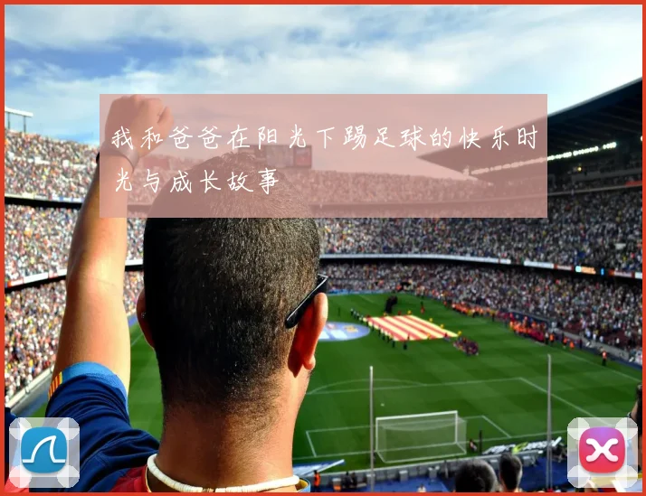 我和爸爸在阳光下踢足球的快乐时光与成长故事